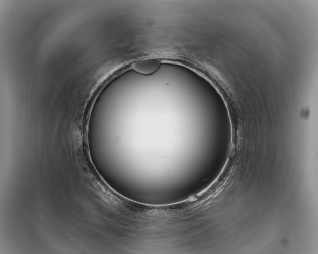 X0000100381212200806131052