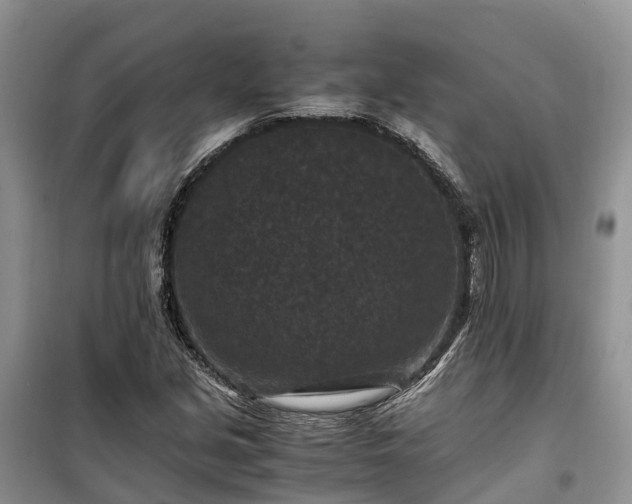 X0000100381213200806131052