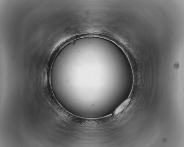 X0000100381214200806131052