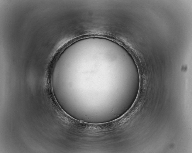 X0000100381215200806131052