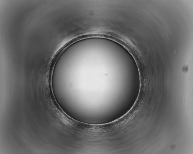 X0000100381216200806131052