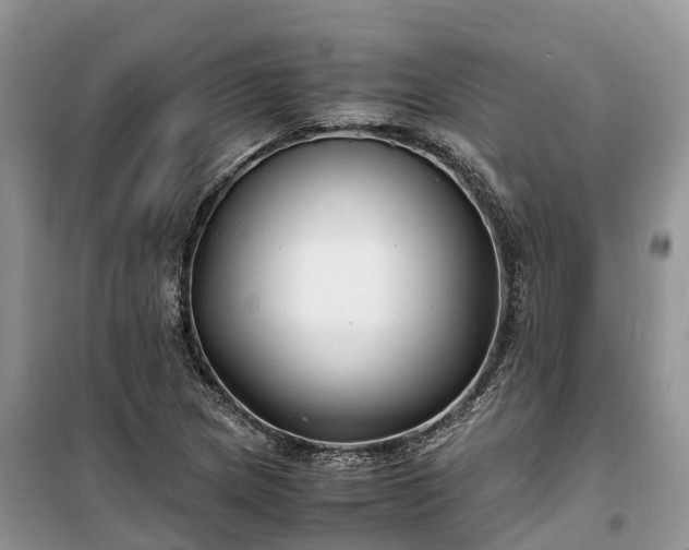 X0000100381217200806131052