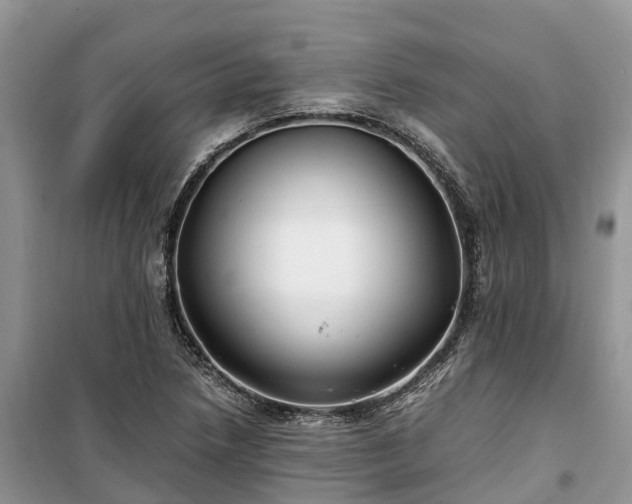 X0000100381218200806131052