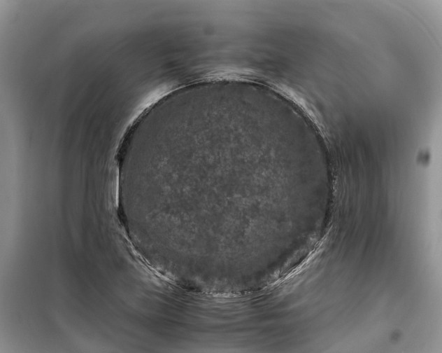 X0000100381219200806131052