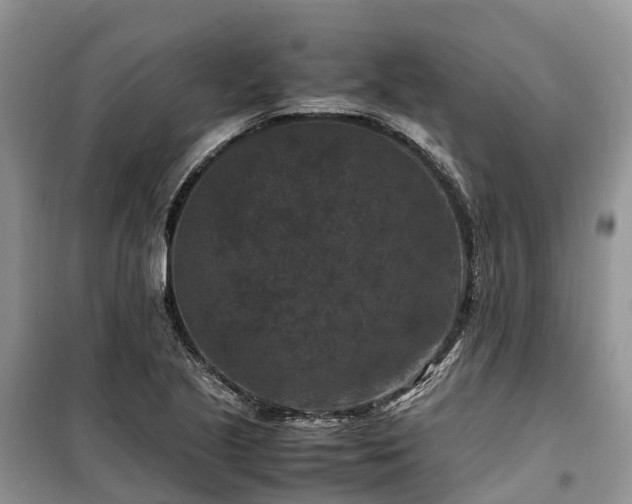 X0000100381221200806131052