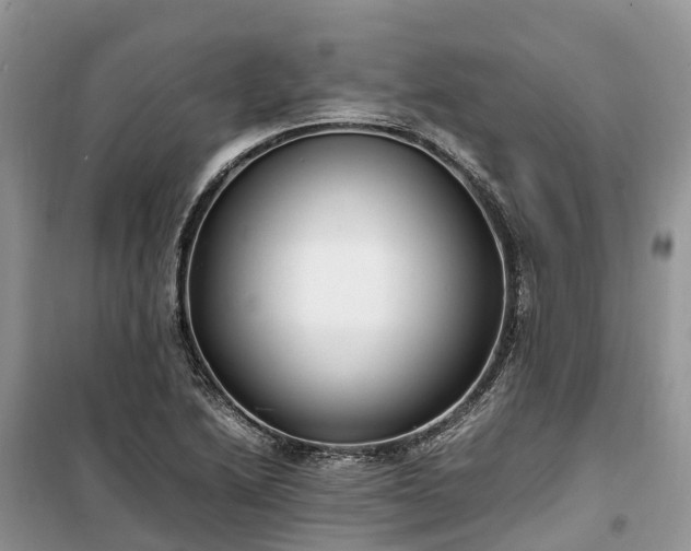 X0000100381222200806131052