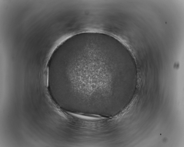 X0000100381223200806131052