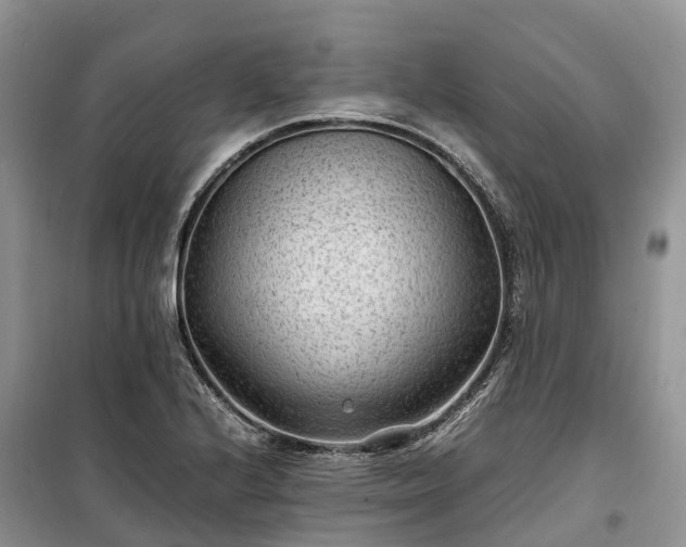 X0000100381224200806131052