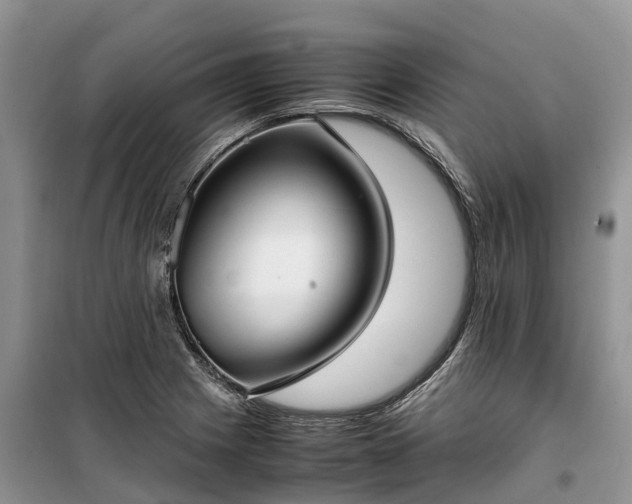 X0000100381225200806131052