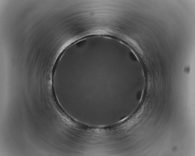 X0000100381226200806131052