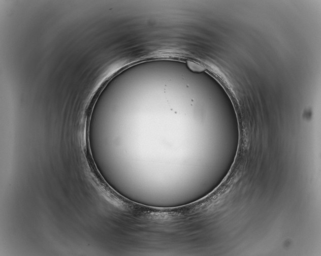X0000100381227200806131052