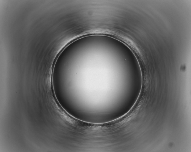 X0000100381228200806131052