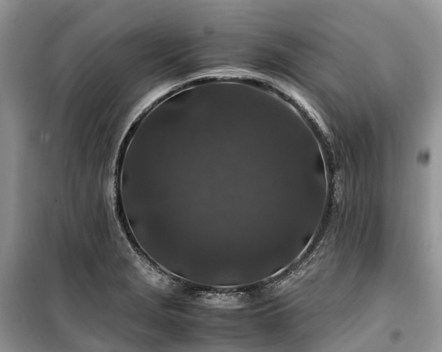 X0000100381229200806131052