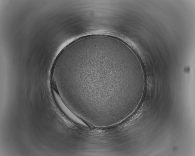 X0000100381230200806131052