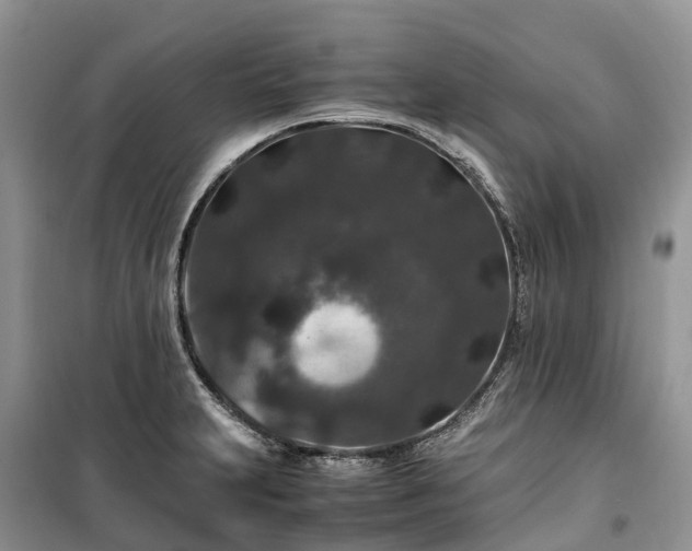 X0000100381231200806131052