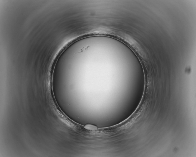 X0000100381232200806131052