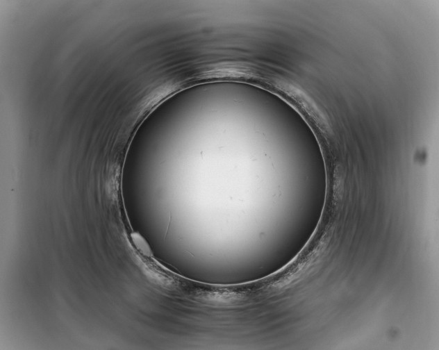 X0000100381233200806131052