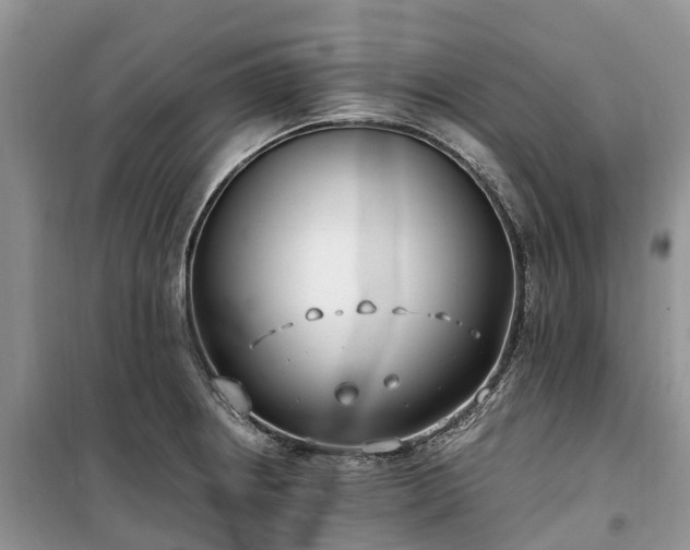 X0000100381234200806131052