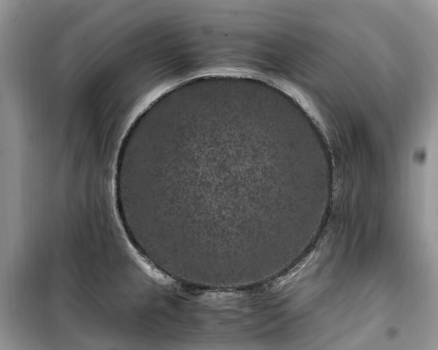 X0000100381237200806131052