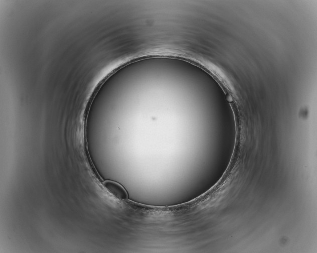 X0000100381238200806131052