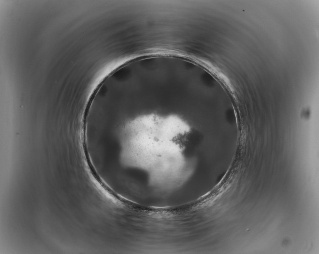 X0000100381239200806131052