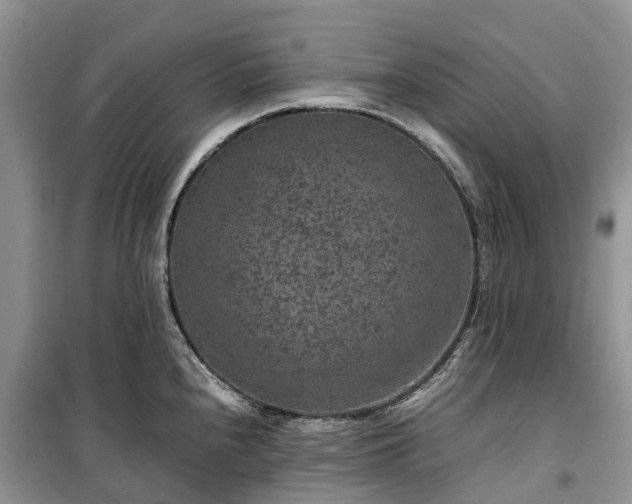 X0000100381240200806131052