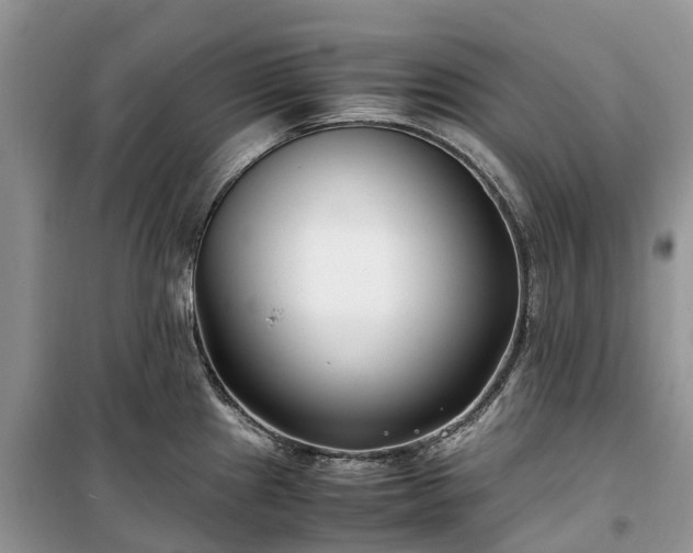 X0000100381241200806131052
