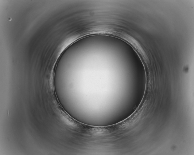 X0000100381242200806131052