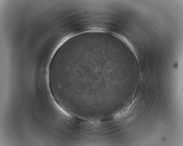 X0000100381243200806131052