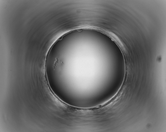 X0000100381244200806131052