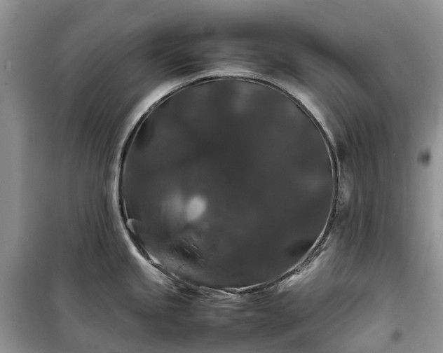 X0000100381245200806131052