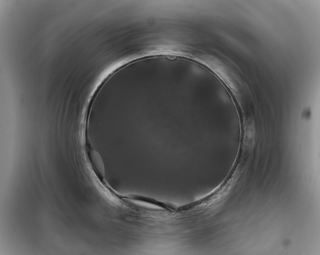 X0000100381246200806131052
