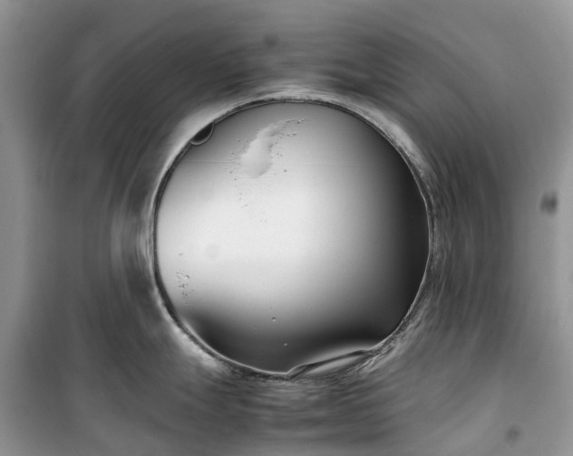 X0000100381247200806131052