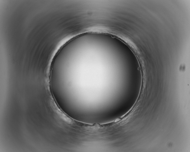 X0000100381248200806131052