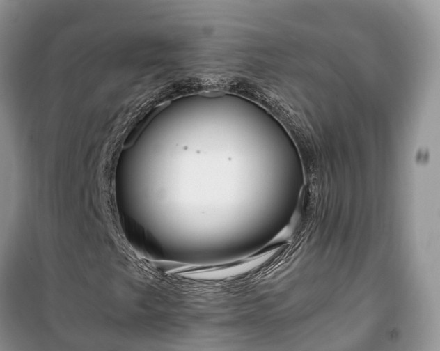 X0000100381249200806131052