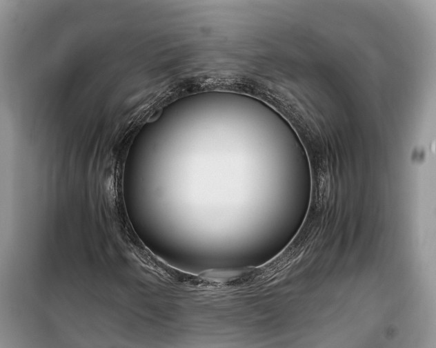 X0000100381250200806131052