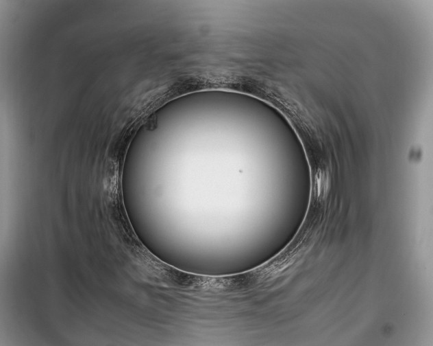 X0000100381251200806131052