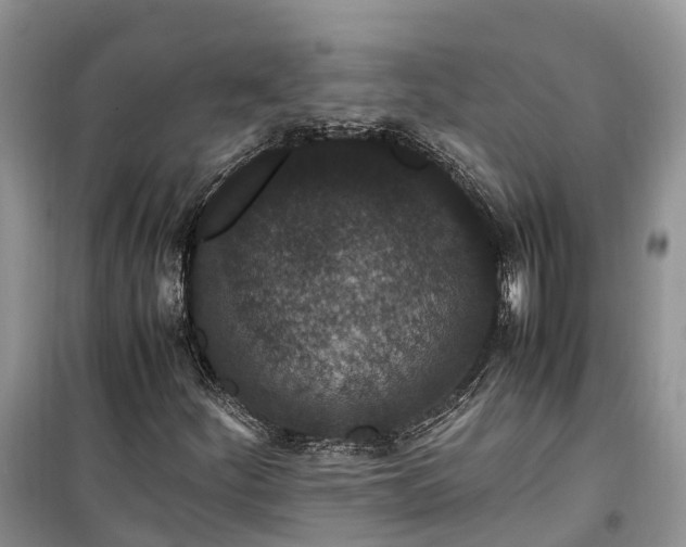 X0000100381252200806131052