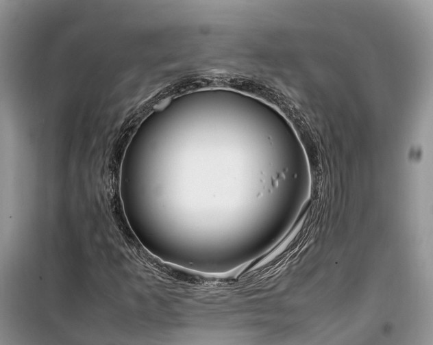 X0000100381253200806131052
