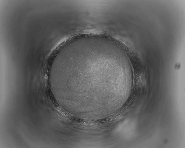 X0000100381254200806131052