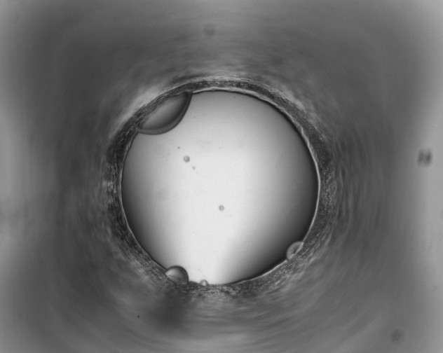 X0000100381255200806131052