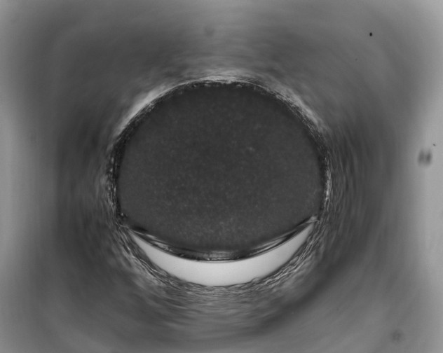 X0000100381256200806131052