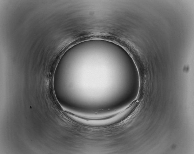 X0000100381257200806131052