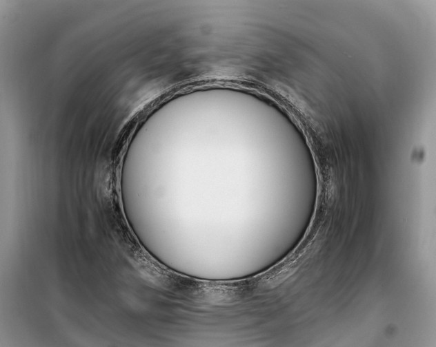 X0000100381258200806131052