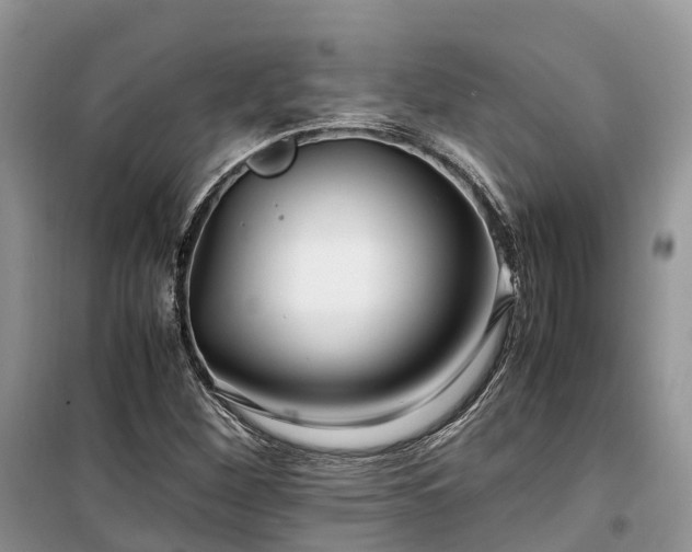 X0000100381260200806131052
