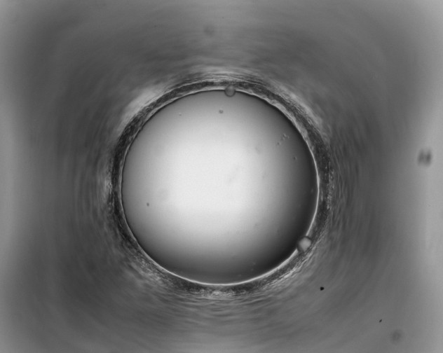 X0000100381261200806131051