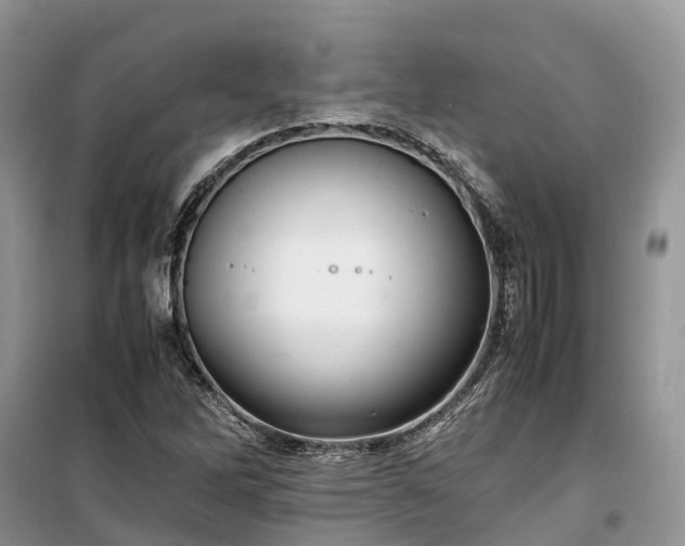 X0000100381262200806131051