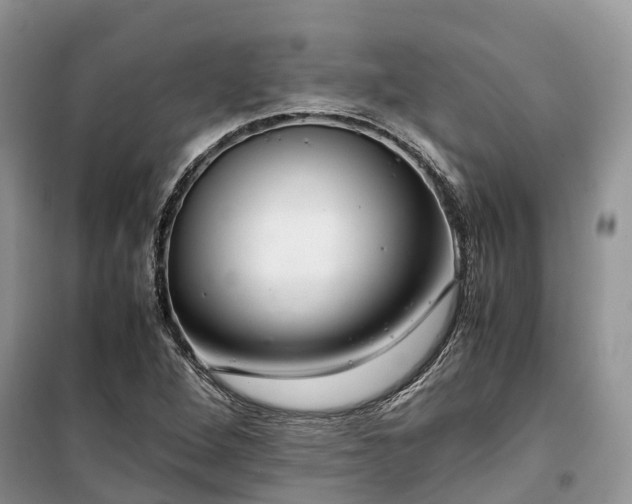X0000100381264200806131051
