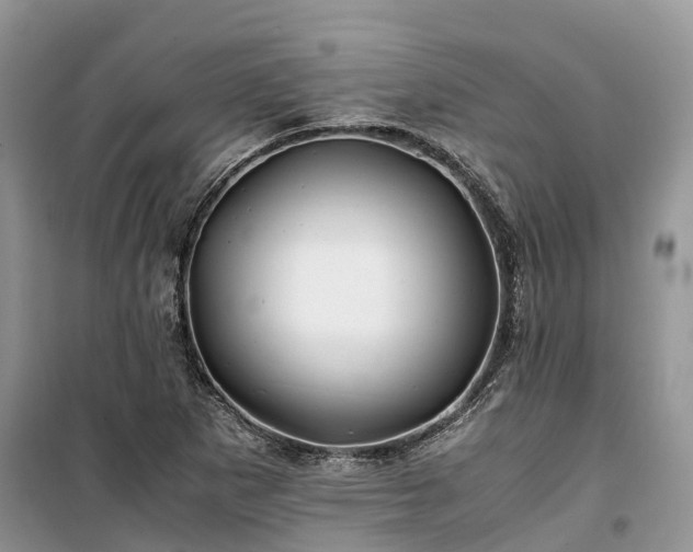 X0000100381265200806131051