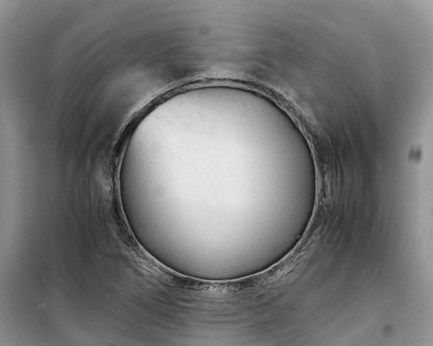 X0000100381266200806131051